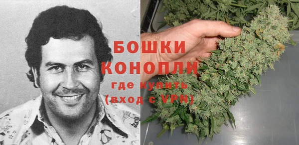 ГАЛЛЮЦИНОГЕННЫЕ ГРИБЫ Медногорск