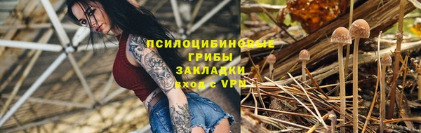 Альфа ПВП Мегион