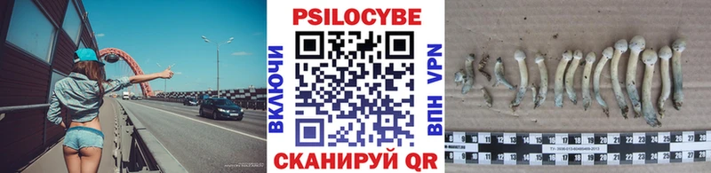 Галлюциногенные грибы Psilocybine cubensis mega как войти Кострома