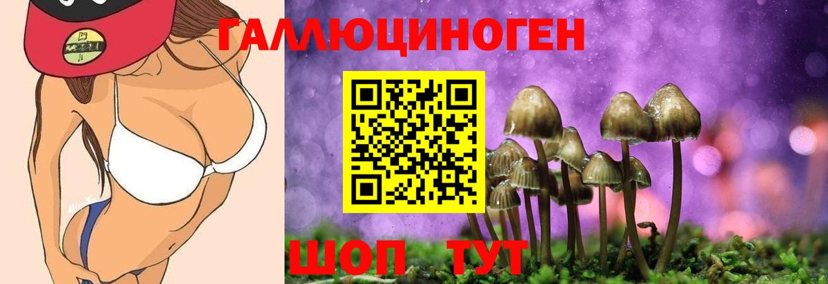 Галлюциногенные грибы Psilocybe  Галлюциногенные грибы прущие грибы  Вход с VPN  Кострома 